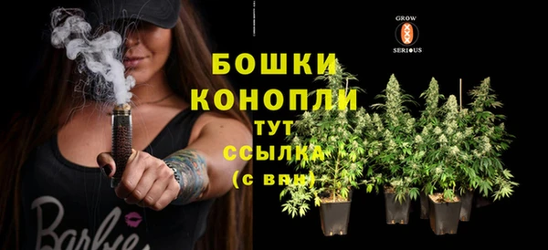 шишки Зерноград