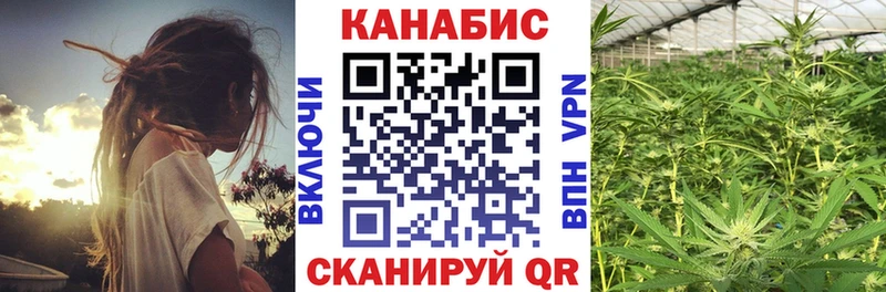 Купить закладки  Сухой Лог  Канабис AK-47 